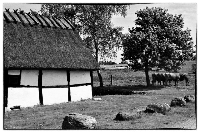 Museum byggnad.